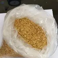 Soybean Doc