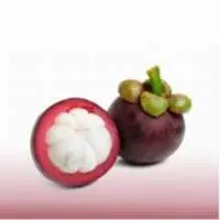 Premium Mangosteen Fruits