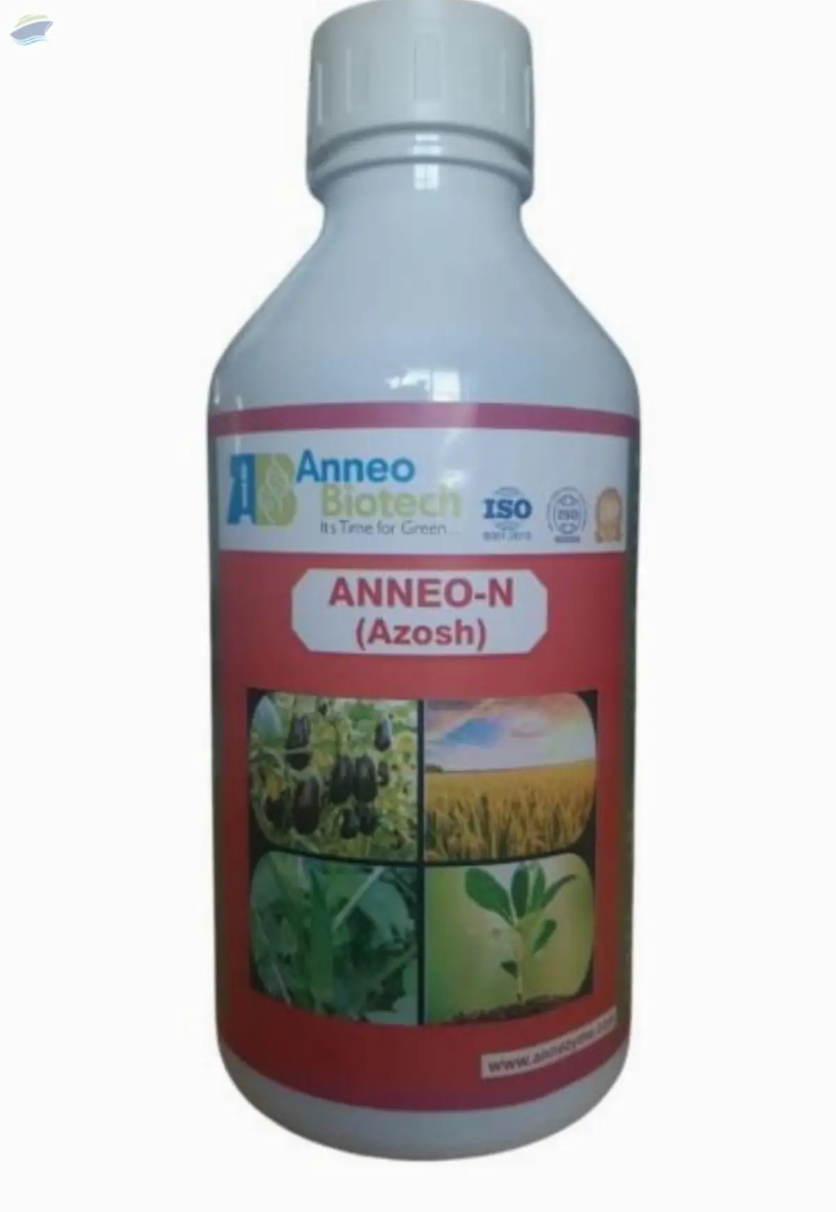Anneo-N (Azosh) Liquid