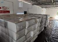 Premium Quality 25 Kg Loose Coco Peat