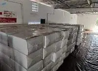 Premium Quality 25 Kg Loose Coco Peat