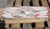 Pink Salmon