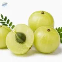Amla Powder