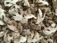 Dried Ginger