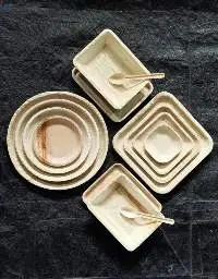 Biodegradable Palm leaf plates