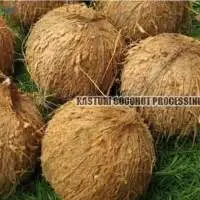 Fresh Semi Husked Mature Coconut