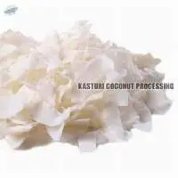 Coconut Chips