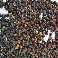 Guarana Seeds