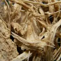 Pfaffia Paniculata Powder