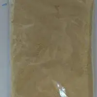 Yerba Mate Dry Extract 4:1