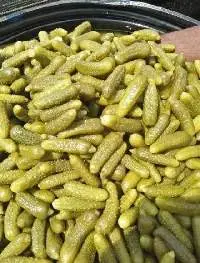 Pickled Gherkins