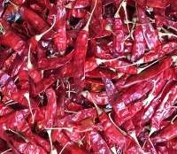 Dried Red Chilli