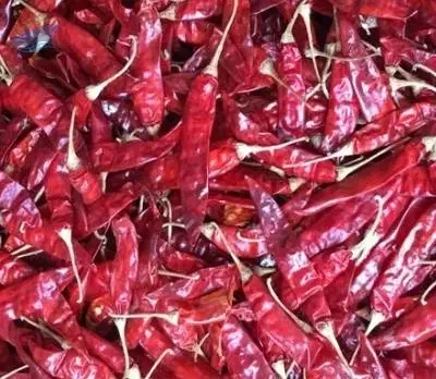 Dried Red Chilli