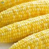 Corn