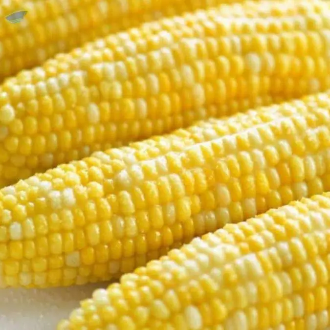 Corn