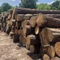 Southern Yellow Pine (SYP)