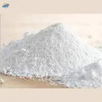Dolomite Powder (Fine & Micronized Forms)