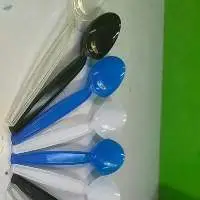 Spoon Manufacturer Ps