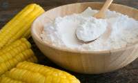 Corn Starch