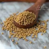 Fenugreek