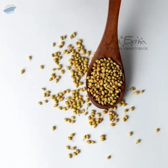 Coriander Seeds