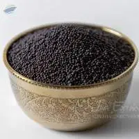 Mustard Seeds