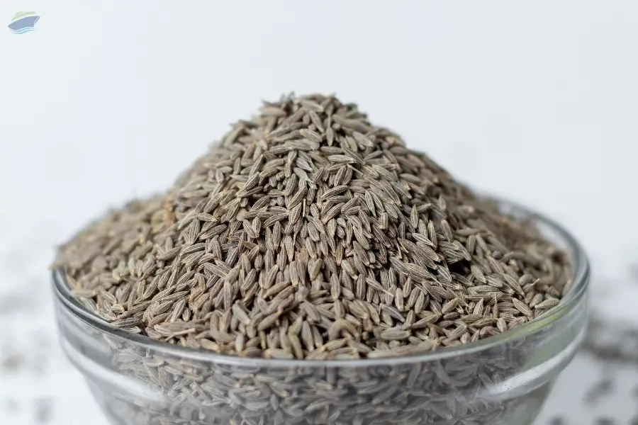 Cumin Seeds