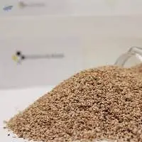 Sesame Seeds