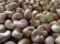 Raw Cashew Nuts