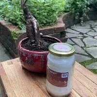 Coconut Oil