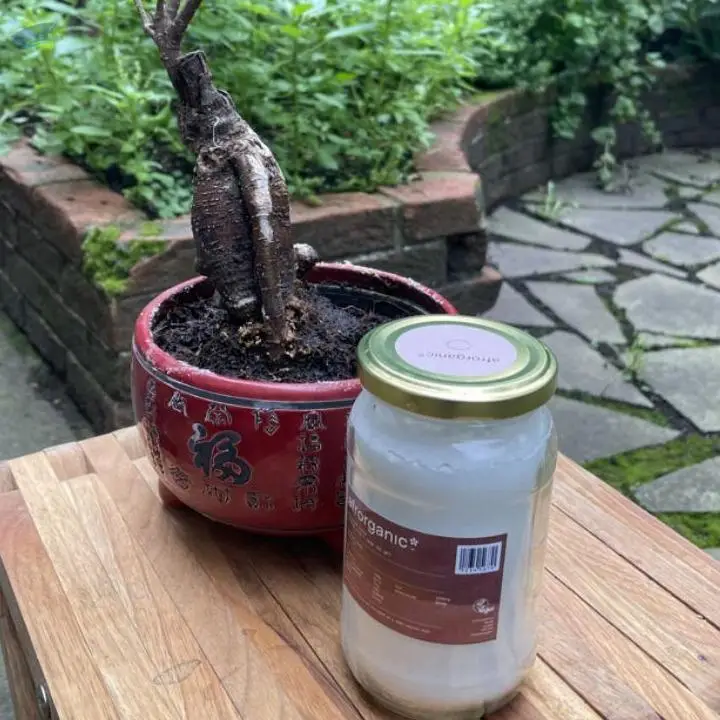 Coconut Oil