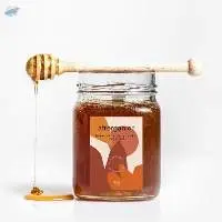 Wild Forest Honey