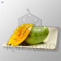 Fresh Mango
