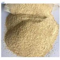 Soybean Meal