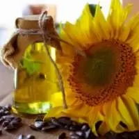 Sunflower Oil
