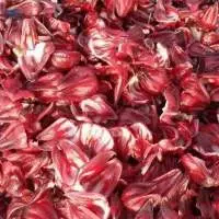 Hibiscus Flowers