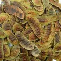 Senna Pods