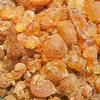 Arabic Gum Or  Acacia Gum