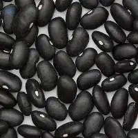 Black Beans