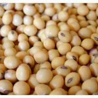 Soybeans