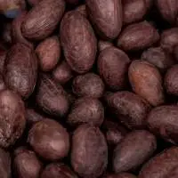 Cocoa Beans from Africa