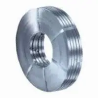Stainless Steel Strips