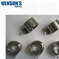 OEM Constant Springs