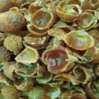 Premium Quality Export Grade Soap Nuts