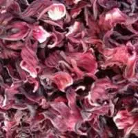 Organically Cultivate Hibiscus Sabdariffa