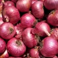 Premium Quality Nashik Fresh Onions