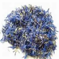 Premium Natural Vibrant Blue Cornflowers