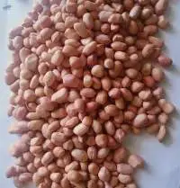 Peanuts Without Shell
