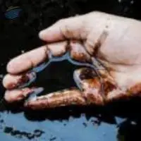 Crude Oil