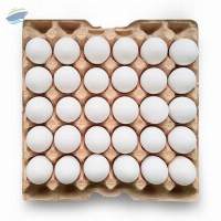 High Quality Polish Fresh Chicken Eggs